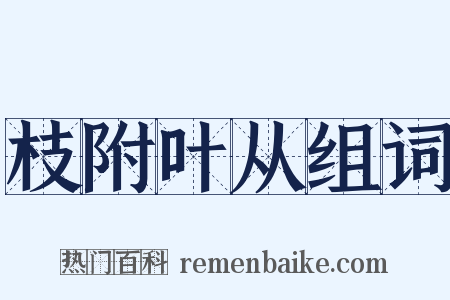 枝附叶从组词是什么意思的图片